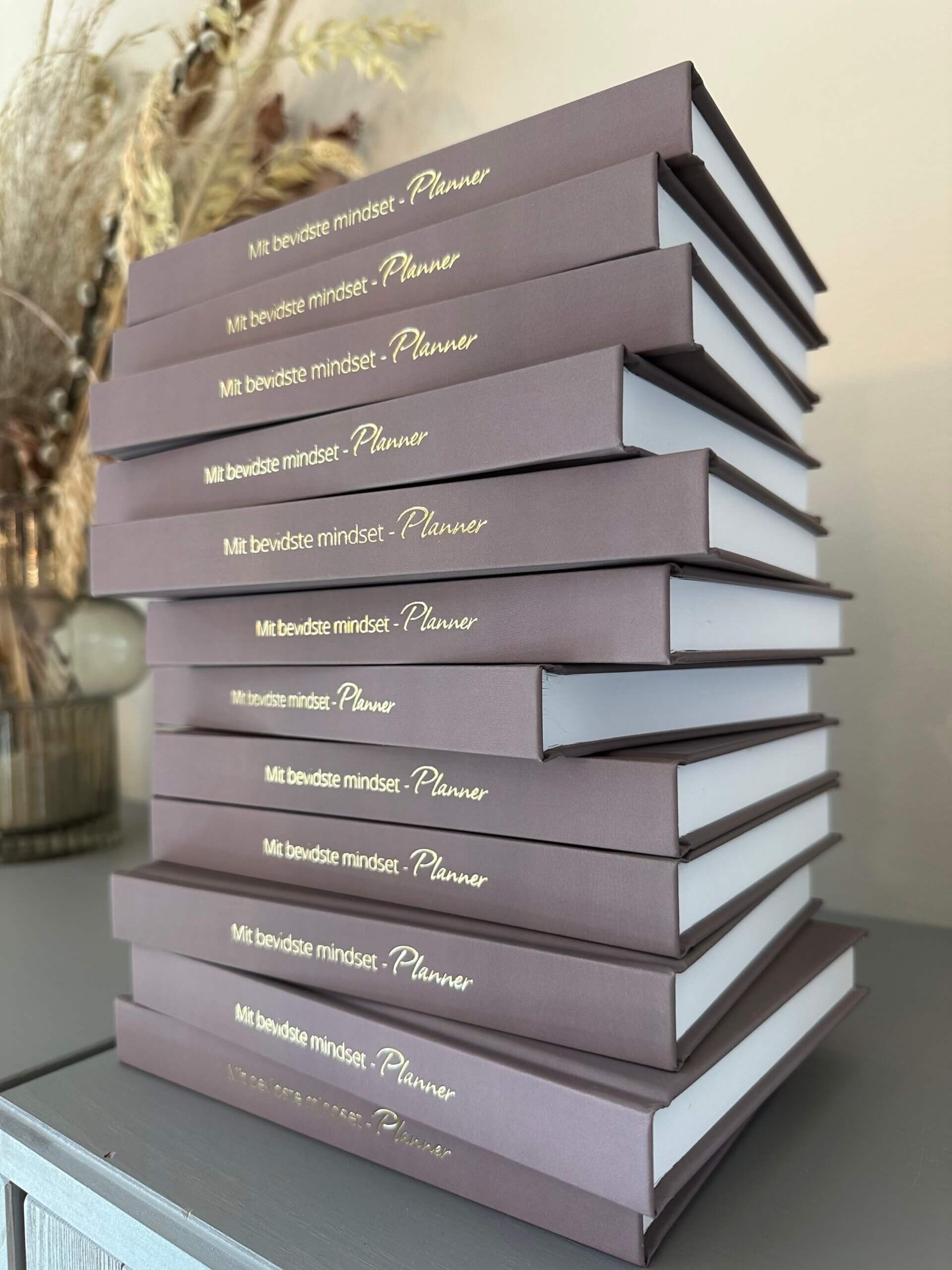 Mit bevidste mindset Planner - Billede 2